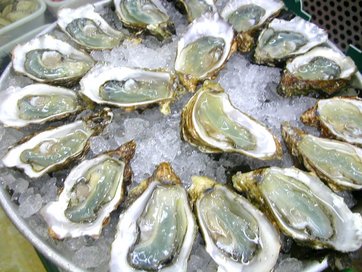 Oyster plateau Lyon1.jpg